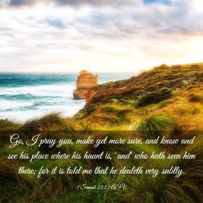 Picture 03 - 1 Samuel 23:22 ASV - Go, I pray you, make yet more sure, and know and - Bible Verse Picture