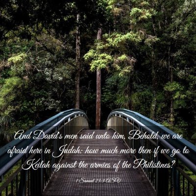 Picture 03 - 1 Samuel 23:3 ASV - And David's men said unto him, Behold, we are - Bible Verse Picture
