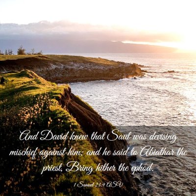 Picture 03 - 1 Samuel 23:9 ASV - And David knew that Saul was devising mischief - Bible Verse Picture