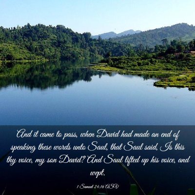 Picture 03 - 1 Samuel 24:16 ASV - And it came to pass, when David had made an end - Bible Verse Picture