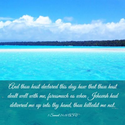 Picture 03 - 1 Samuel 24:18 ASV - And thou hast declared this day how that thou - Bible Verse Picture