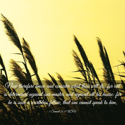 Picture 03 - 1 Samuel 25:17 ASV - Now therefore know and consider what thou wilt - Bible Verse Picture
