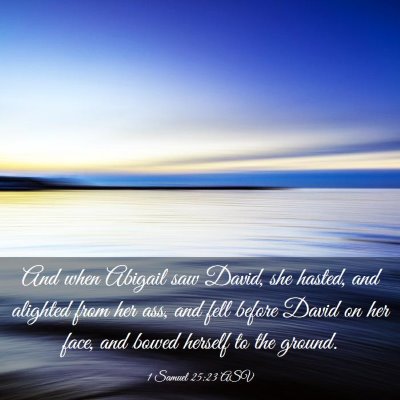 Picture 03 - 1 Samuel 25:23 ASV - And when Abigail saw David, she hasted, and - Bible Verse Picture