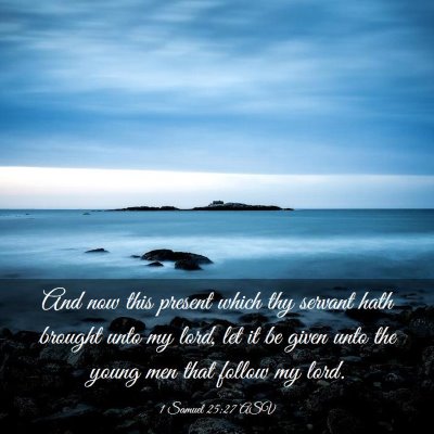 Picture 03 - 1 Samuel 25:27 ASV - And now this present which thy servant hath - Bible Verse Picture
