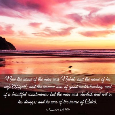 Picture 03 - 1 Samuel 25:3 ASV - Now the name of the man was Nabal; and the name - Bible Verse Picture