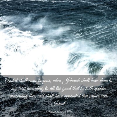 Picture 03 - 1 Samuel 25:30 ASV - And it shall come to pass, when Jehovah shall - Bible Verse Picture