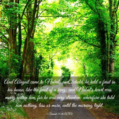 Picture 03 - 1 Samuel 25:36 ASV - And Abigail came to Nabal; and, behold, he held a - Bible Verse Picture