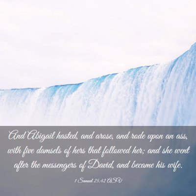 Picture 03 - 1 Samuel 25:42 ASV - And Abigail hasted, and arose, and rode upon an - Bible Verse Picture