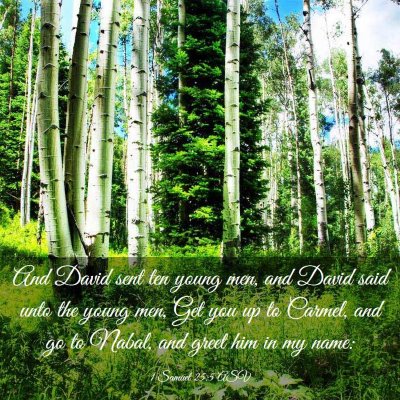 Picture 03 - 1 Samuel 25:5 ASV - And David sent ten young men, and David said unto - Bible Verse Picture