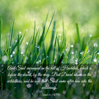 Picture 03 - 1 Samuel 26:3 ASV - And Saul encamped in the hill of Hachilah, which - Bible Verse Picture