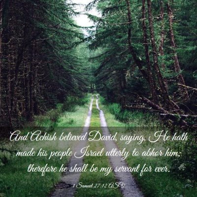 Picture 03 - 1 Samuel 27:12 ASV - And Achish believed David, saying, He hath made - Bible Verse Picture