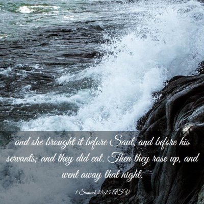 Picture 03 - 1 Samuel 28:25 ASV - and she brought it before Saul, and before his - Bible Verse Picture