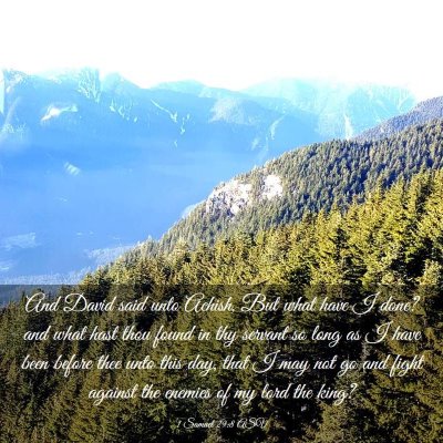 Picture 03 - 1 Samuel 29:8 ASV - And David said unto Achish, But what have I done? - Bible Verse Picture
