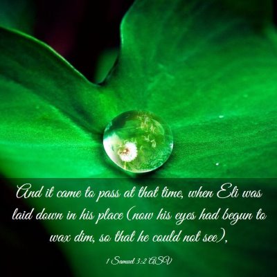 Picture 03 - 1 Samuel 3:2 ASV - And it came to pass at that time, when Eli was - Bible Verse Picture