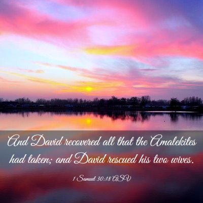Picture 03 - 1 Samuel 30:18 ASV - And David recovered all that the Amalekites had - Bible Verse Picture