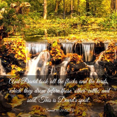 Picture 03 - 1 Samuel 30:20 ASV - And David took all the flocks and the herds, - Bible Verse Picture