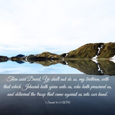 Picture 03 - 1 Samuel 30:23 ASV - Then said David, Ye shall not do so, my brethren, - Bible Verse Picture