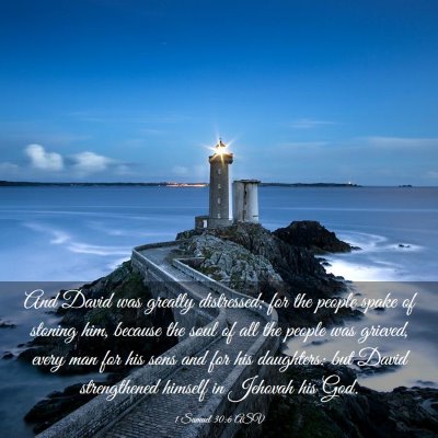 Picture 03 - 1 Samuel 30:6 ASV - And David was greatly distressed; for the people - Bible Verse Picture