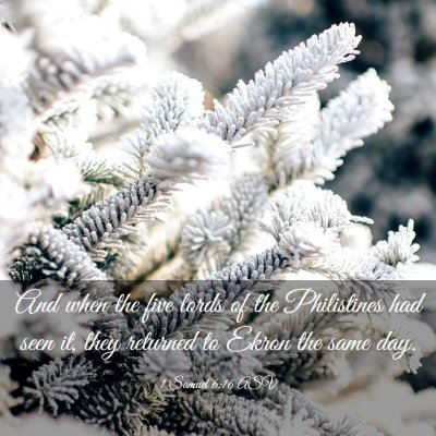 Picture 03 - 1 Samuel 6:16 ASV - And when the five lords of the Philistines had - Bible Verse Picture