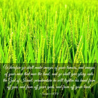 Picture 03 - 1 Samuel 6:5 ASV - Wherefore ye shall make images of your tumors, - Bible Verse Picture