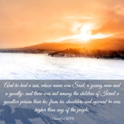 Picture 03 - 1 Samuel 9:2 ASV - And he had a son, whose name was Saul, a young - Bible Verse Picture