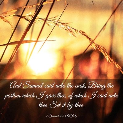 Picture 03 - 1 Samuel 9:23 ASV - And Samuel said unto the cook, Bring the portion - Bible Verse Picture