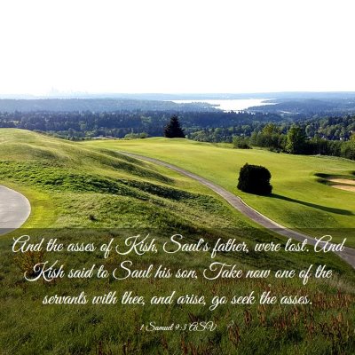Picture 03 - 1 Samuel 9:3 ASV - And the asses of Kish, Saul's father, were lost. - Bible Verse Picture
