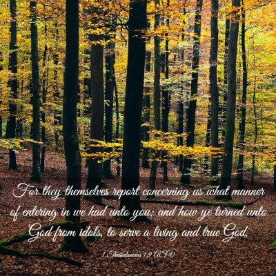 Picture 03 - 1 Thessalonians 1:9 ASV - For they themselves report concerning us what - Bible Verse Picture