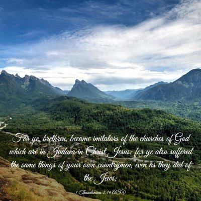 Picture 03 - 1 Thessalonians 2:14 ASV - For ye, brethren, became imitators of the - Bible Verse Picture