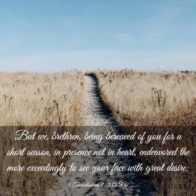 Picture 03 - 1 Thessalonians 2:17 ASV - But we, brethren, being bereaved of you for a - Bible Verse Picture