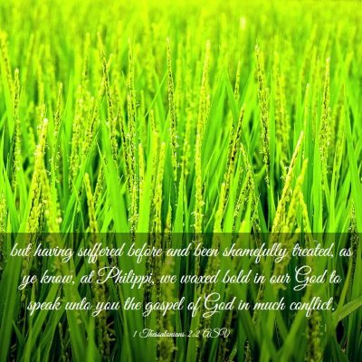 Picture 03 - 1 Thessalonians 2:2 ASV - but having suffered before and been shamefully - Bible Verse Picture