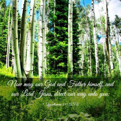 Picture 03 - 1 Thessalonians 3:11 ASV - Now may our God and Father himself, and our Lord - Bible Verse Picture
