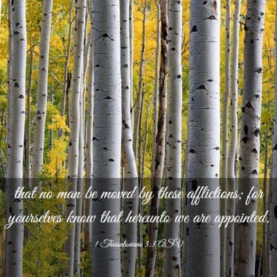 Picture 03 - 1 Thessalonians 3:3 ASV - that no man be moved by these afflictions; for - Bible Verse Picture