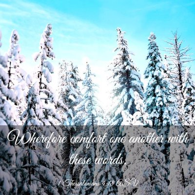 Picture 03 - 1 Thessalonians 4:18 ASV - Wherefore comfort one another with these - Bible Verse Picture
