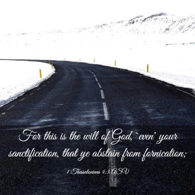 Picture 03 - 1 Thessalonians 4:3 ASV - For this is the will of God, `even' your - Bible Verse Picture