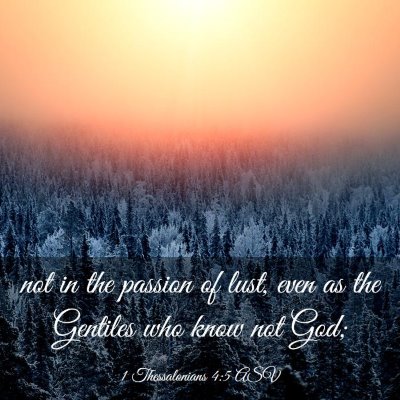 Picture 03 - 1 Thessalonians 4:5 ASV - not in the passion of lust, even as the Gentiles - Bible Verse Picture