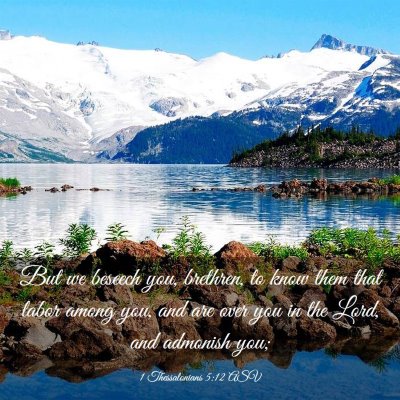 Picture 03 - 1 Thessalonians 5:12 ASV - But we beseech you, brethren, to know them that - Bible Verse Picture