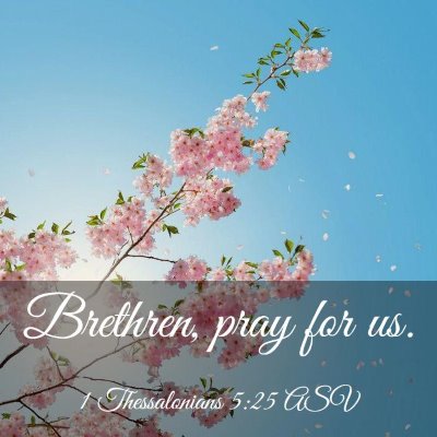Picture 03 - 1 Thessalonians 5:25 ASV - Brethren, pray for - Bible Verse Picture