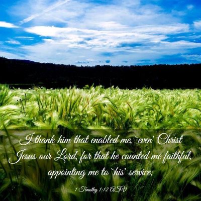 Picture 03 - 1 Timothy 1:12 ASV - I thank him that enabled me, `even' Christ Jesus - Bible Verse Picture