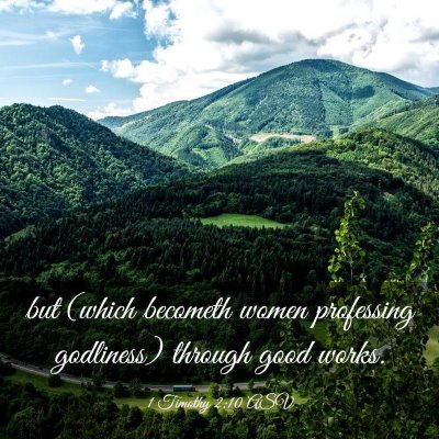 Picture 03 - 1 Timothy 2:10 ASV - but (which becometh women professing godliness) - Bible Verse Picture