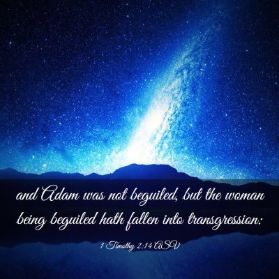 Picture 03 - 1 Timothy 2:14 ASV - and Adam was not beguiled, but the woman being - Bible Verse Picture