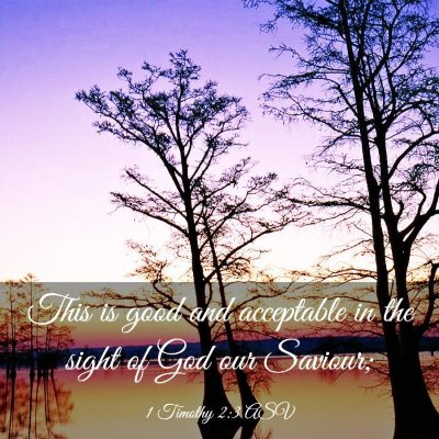 Picture 03 - 1 Timothy 2:3 ASV - This is good and acceptable in the sight of God - Bible Verse Picture
