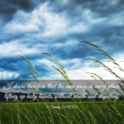 Picture 03 - 1 Timothy 2:8 ASV - I desire therefore that the men pray in every - Bible Verse Picture