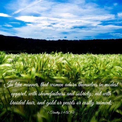 Picture 03 - 1 Timothy 2:9 ASV - In like manner, that women adorn themselves in - Bible Verse Picture