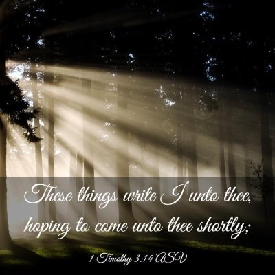 Picture 03 - 1 Timothy 3:14 ASV - These things write I unto thee, hoping to come - Bible Verse Picture