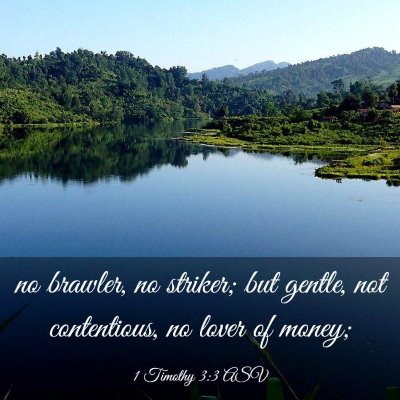 Picture 03 - 1 Timothy 3:3 ASV - no brawler, no striker; but gentle, not - Bible Verse Picture