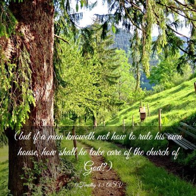 Picture 03 - 1 Timothy 3:5 ASV - (but if a man knoweth not how to rule his own - Bible Verse Picture