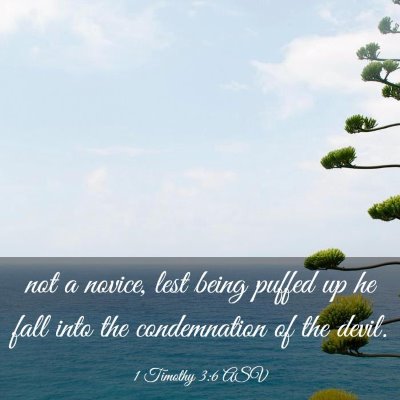 Picture 03 - 1 Timothy 3:6 ASV - not a novice, lest being puffed up he fall into - Bible Verse Picture