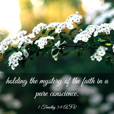 Picture 03 - 1 Timothy 3:9 ASV - holding the mystery of the faith in a pure - Bible Verse Picture