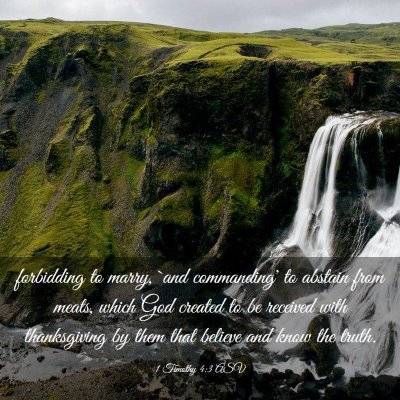 Picture 03 - 1 Timothy 4:3 ASV - forbidding to marry, `and commanding' to abstain - Bible Verse Picture